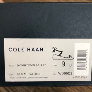 Cole Haan Downtown Ballet flats, size 9